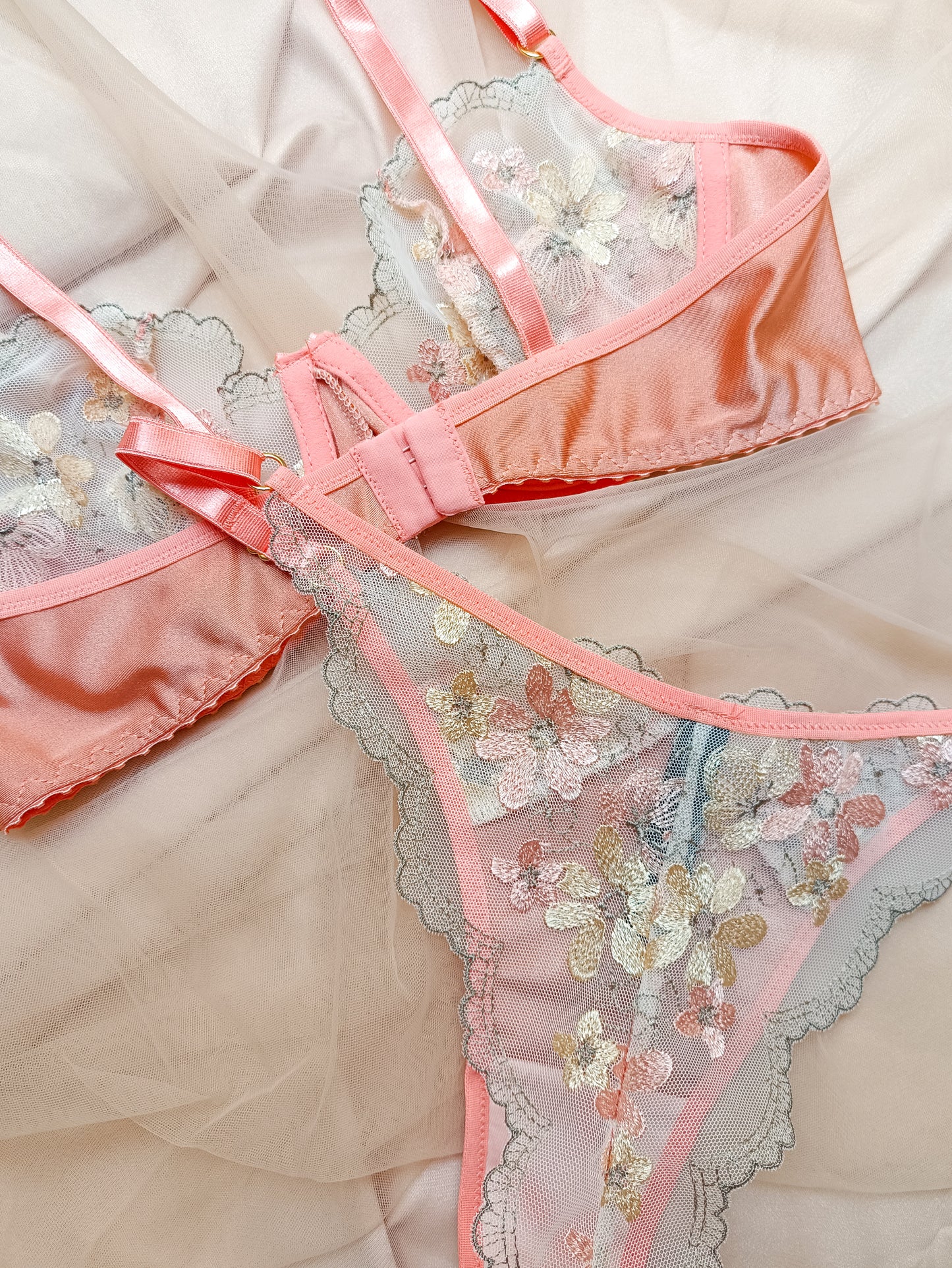 Set Coralia